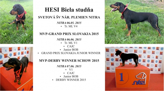 Hesi Biela studňa víkendový úspech