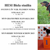 Hesi Biela studňa víkendový úspech