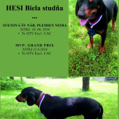 Hesi Biela studňa víkendový úspech Nitra 2016