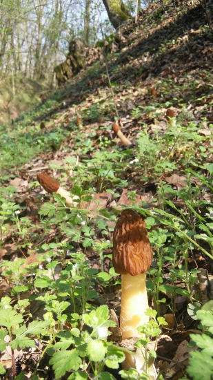 Dnešný darček k narodeninám