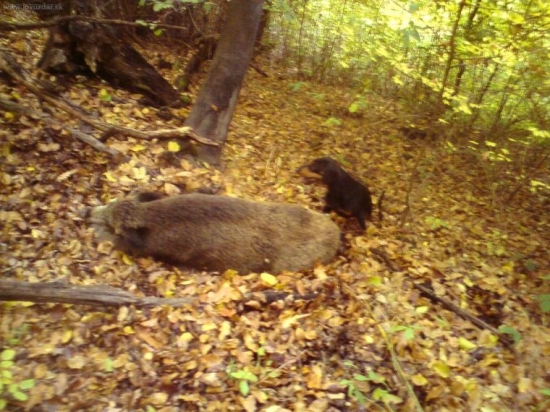 Takto vizerá práca dobrého kopova