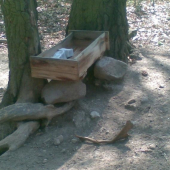 Odmena za starostlivost,už je len moj