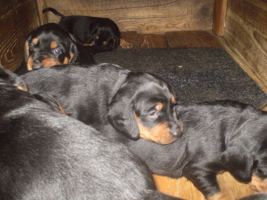 Rasťieme ako z vody, takto sme vizerali pred tíždňom