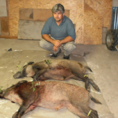 úspešná postriežka