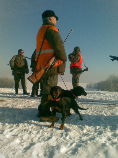Na začiatku pohonu Cara a Daja
