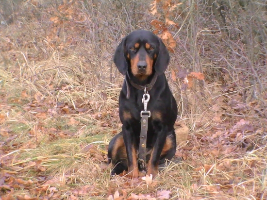 Pustíš ma ešte potom??