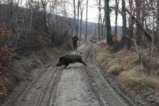 Rozvaha na spoločnej poľovačke