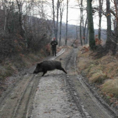 Rozvaha na spoločnej poľovačke