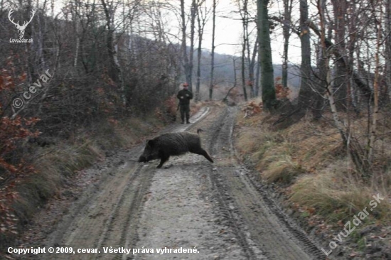 Rozvaha na spoločnej poľovačke