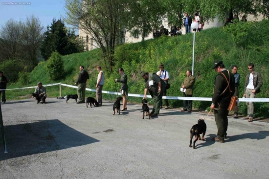 Mladé sučky slov.kopovov