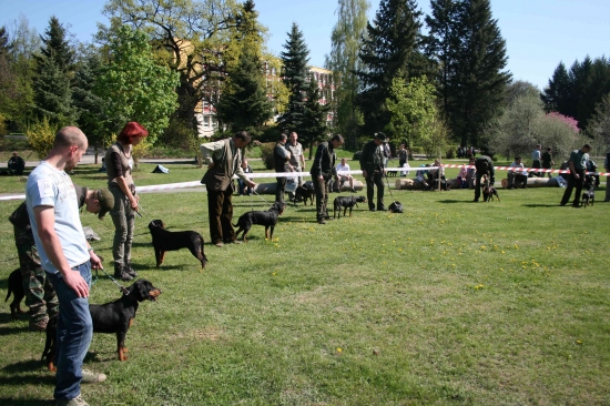 SKV slovenských kopovov
