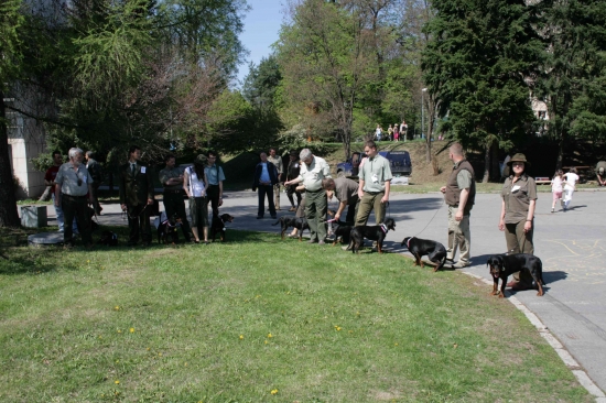 Víťazy z SKV Slovenských kopovov