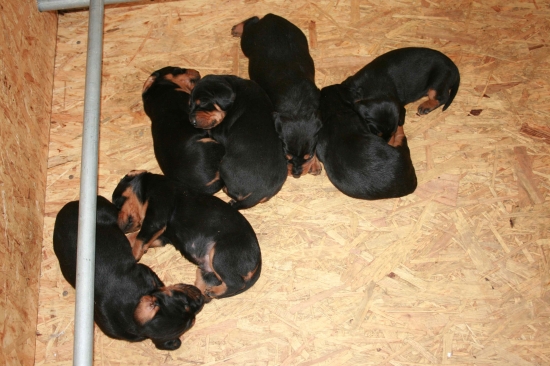 Pre slovákov pracujúcich v Bavorsku