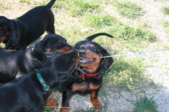 tréning od mala nech vedia načo prišli na svet