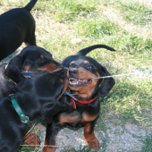 tréning od mala nech vedia načo prišli na svet