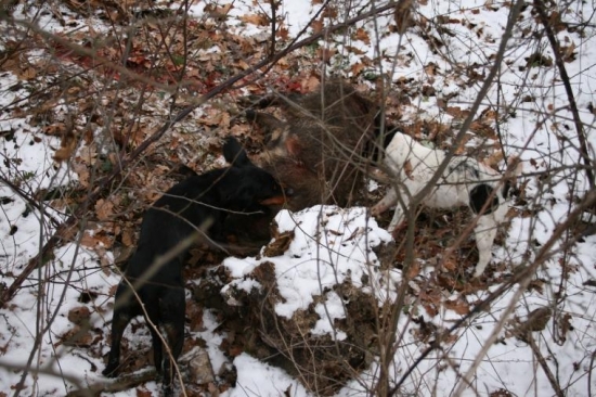 Koniec 3 hodinovej akcie