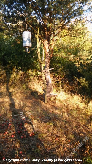 krmny automat