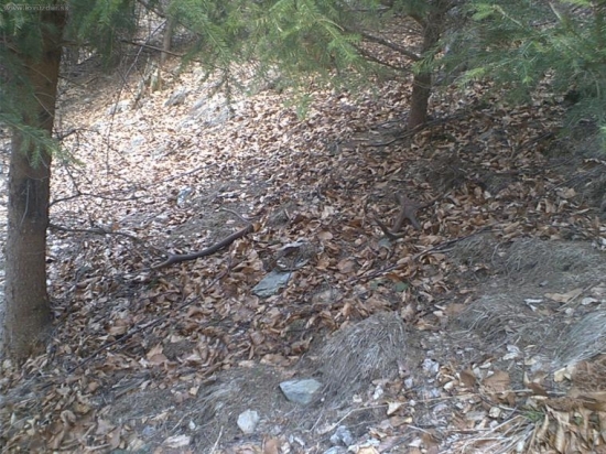 popri ,,poslaniu,, II - r. 08, takto najdene