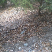 popri ,,poslaniu,, II - r. 08, takto najdene