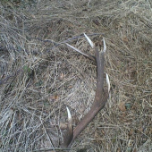 popri ,,poslaniu,, V - r. 09, takto nájdený