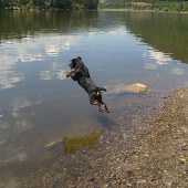 Super skokan durič Conn