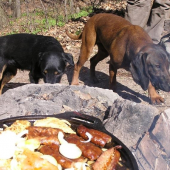 Už nepozerajú možme.....teraz!!!!!