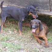 Ej ale chutilo mňam a ďakujeme