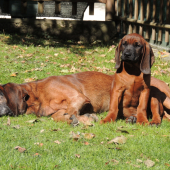 13 rocny senior so 4 mesacnym juniorom