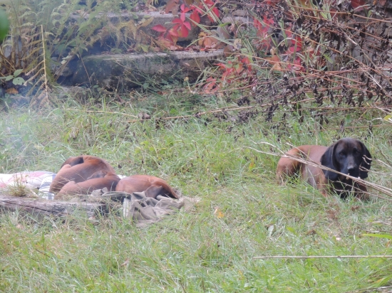 siesta na prechádzke