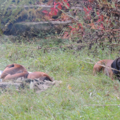siesta na prechádzke