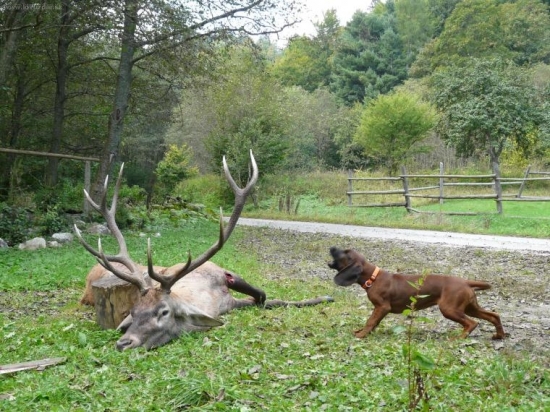Moje 4 mesačné usilovné zlato