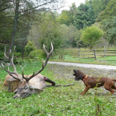 Moje 4 mesačné usilovné zlato