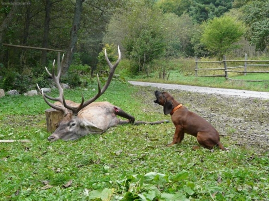 Moje 4 mesačné usilovné zlato II