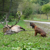 Moje 4 mesačné usilovné zlato II
