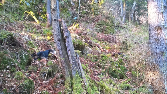 svorka č. 2 tohto roku