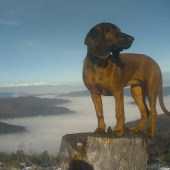 6 mes. Aris a Tatry