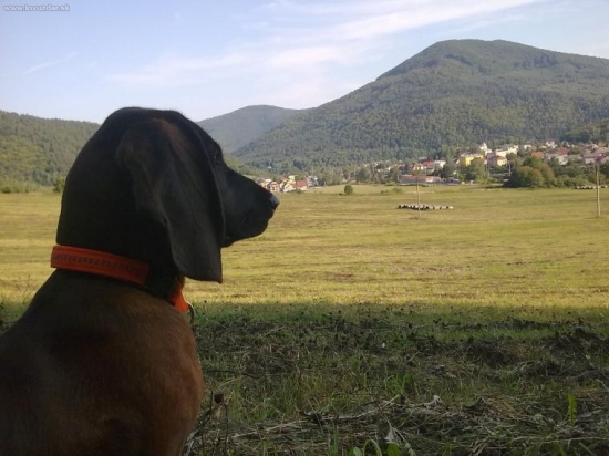 Rodný moj kraj................