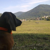 Rodný moj kraj................