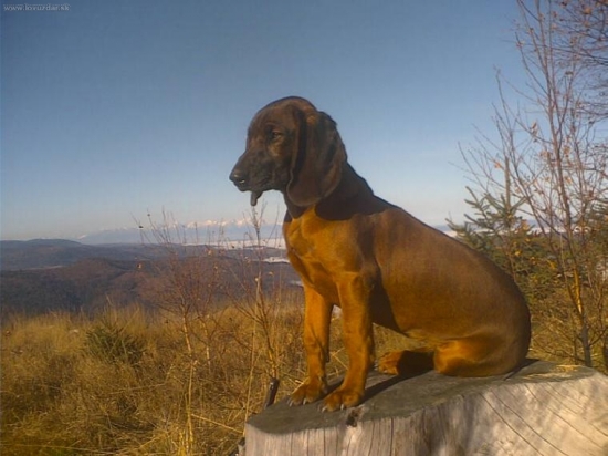 znovu  v Tatrách o 2 týždne neskor