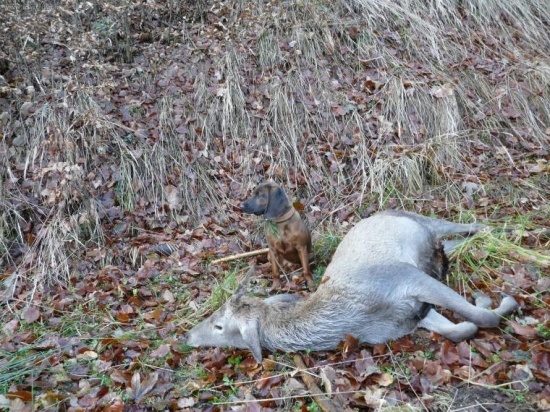 v tomto prípade škola hrou :-)