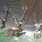 Doprovod 09 a moja krasavicka