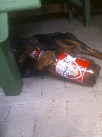 este jeden glg a mam dost