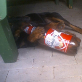 este jeden glg a mam dost