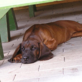 ako prijemne to chladi