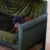 2 mesačná kolegyňa