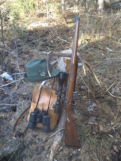 Sčítanie zveri r. 2008