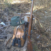 Sčítanie zveri r. 2008