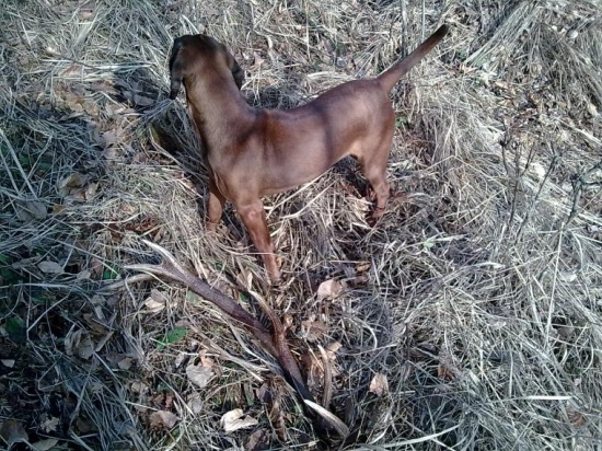 ...ešte včera tam nebol II...