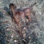 ...ešte včera tam nebol II...