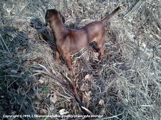 ...ešte včera tam nebol II...